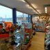 Unser STIHL-Shop 819602